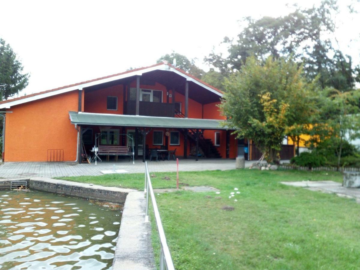 Pension Waldbad Dommitzsch ภายนอก รูปภาพ